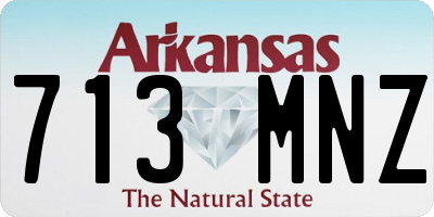 AR license plate 713MNZ