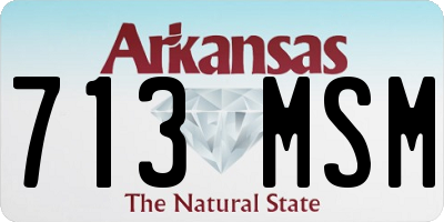 AR license plate 713MSM
