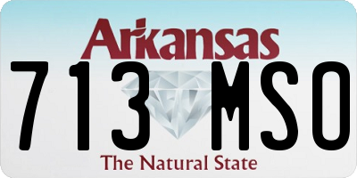 AR license plate 713MSO