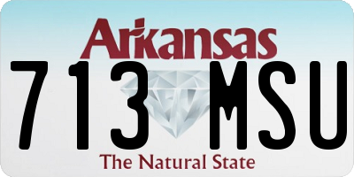 AR license plate 713MSU
