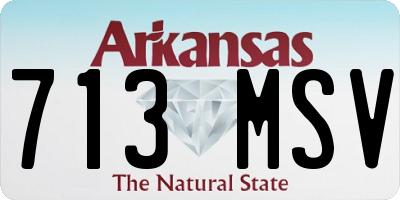 AR license plate 713MSV