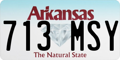 AR license plate 713MSY