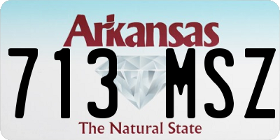 AR license plate 713MSZ