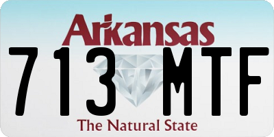 AR license plate 713MTF