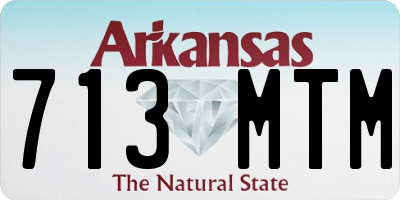 AR license plate 713MTM