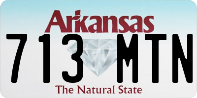 AR license plate 713MTN