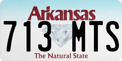 AR license plate 713MTS