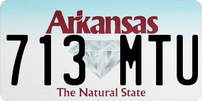AR license plate 713MTU