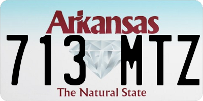 AR license plate 713MTZ