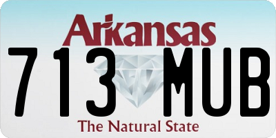 AR license plate 713MUB