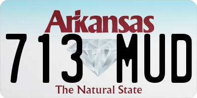 AR license plate 713MUD