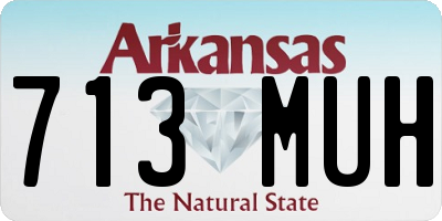 AR license plate 713MUH
