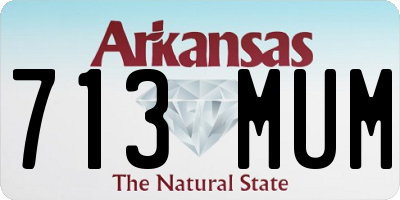 AR license plate 713MUM