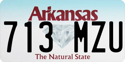 AR license plate 713MZU