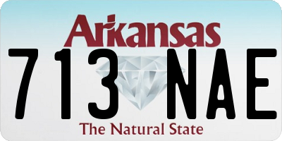 AR license plate 713NAE