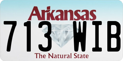 AR license plate 713WIB