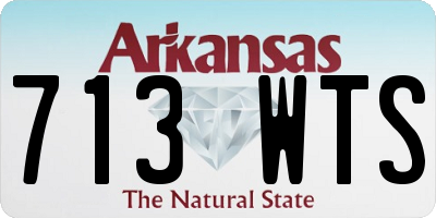AR license plate 713WTS