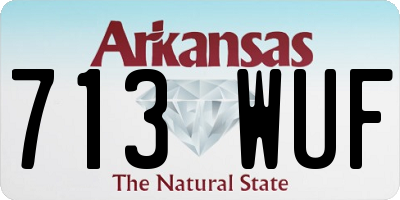 AR license plate 713WUF