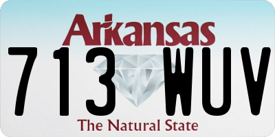 AR license plate 713WUV