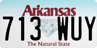 AR license plate 713WUY