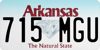 AR license plate 715MGU