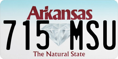 AR license plate 715MSU