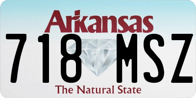 AR license plate 718MSZ