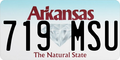 AR license plate 719MSU