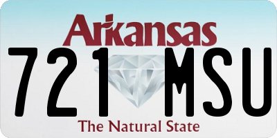 AR license plate 721MSU