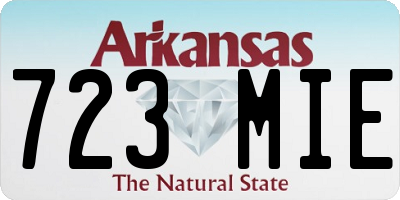 AR license plate 723MIE