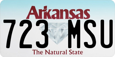 AR license plate 723MSU
