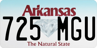 AR license plate 725MGU