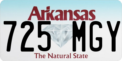 AR license plate 725MGY