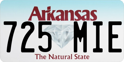 AR license plate 725MIE
