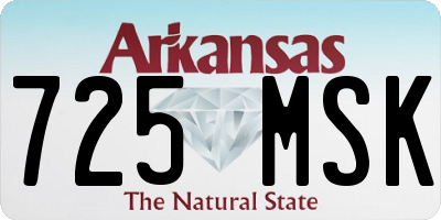 AR license plate 725MSK