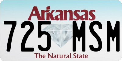 AR license plate 725MSM