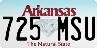 AR license plate 725MSU