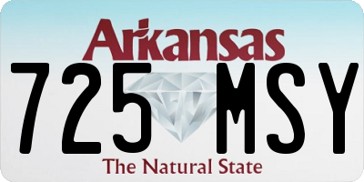 AR license plate 725MSY