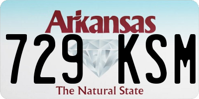 AR license plate 729KSM
