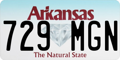 AR license plate 729MGN