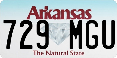 AR license plate 729MGU