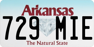 AR license plate 729MIE
