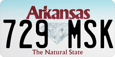 AR license plate 729MSK
