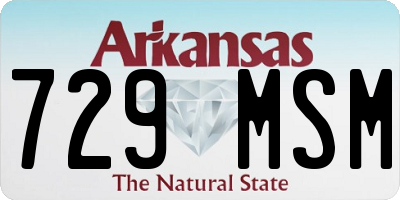 AR license plate 729MSM