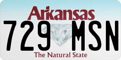 AR license plate 729MSN