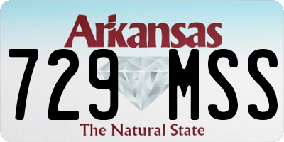 AR license plate 729MSS