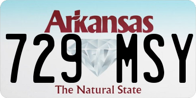 AR license plate 729MSY
