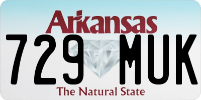 AR license plate 729MUK