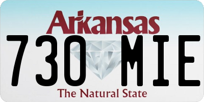 AR license plate 730MIE