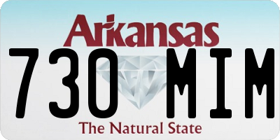 AR license plate 730MIM